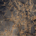 Керамогранит Primavera Golden Black 60x60 см (GR101)