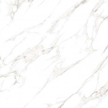Керамогранит Primavera Omnia White 60x60 см (PR136) Керамогранит Primavera Omnia White 60x60 см (PR136)