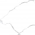 Керамогранит Primavera Acothly Polished 60х60 см (PR150)