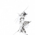 Керамогранит Primavera Videl Bianco Polished 60x60 см (PR129)