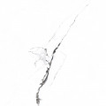 Керамогранит Primavera Videl Bianco Polished 60x60 см (PR129)