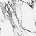 Керамогранит Primavera Fantasy Black 60x60 см (PR127)