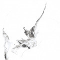 Керамогранит Primavera Videl Bianco Sugar 60x60 см (SR104)